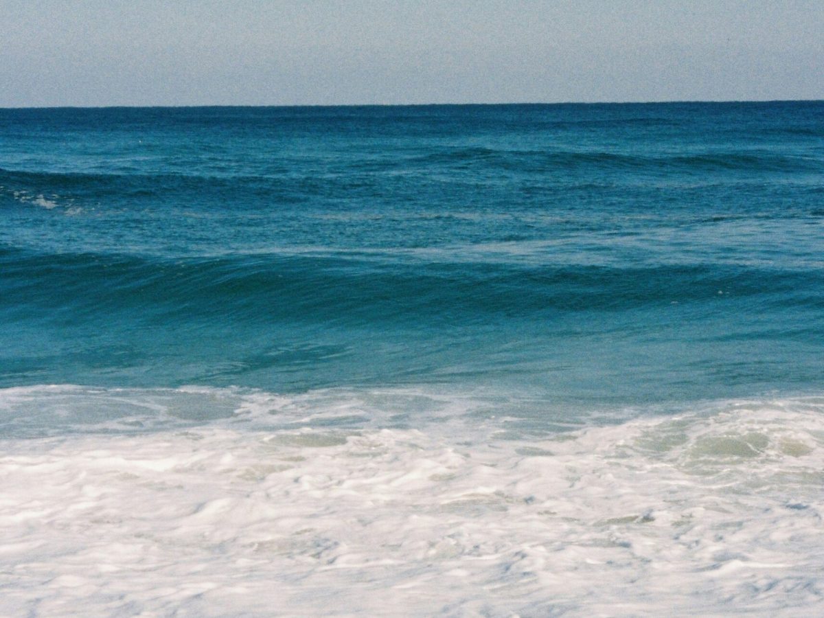 miram oh vk299hcqfhy unsplash